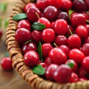 Cranberry Juice Powder