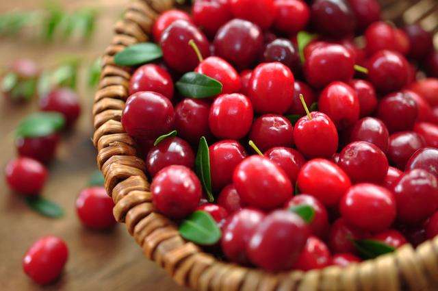 Cranberry Juice Powder Cranberry Juice Powder