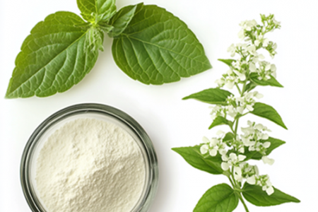 Plant Extract Powders Plant Extract Powders