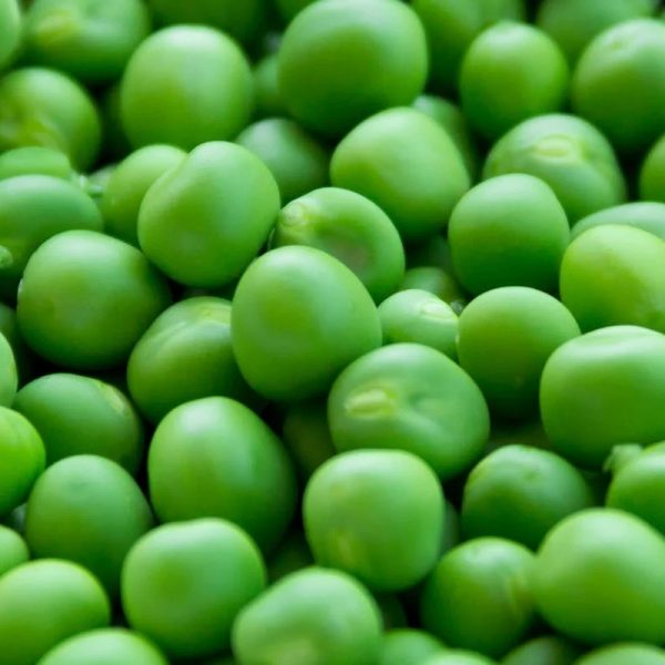 pea starch