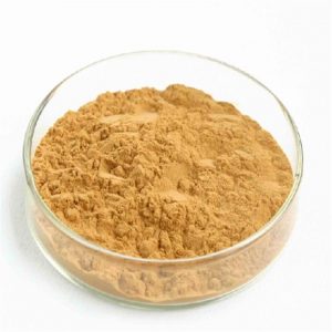 Bacopa Monnieri Extract Powder/Bacopa Monnieri leaf powder/bacopa monnieri capsules