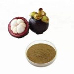 Mangosteen extract