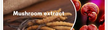 Organic mushroom extract