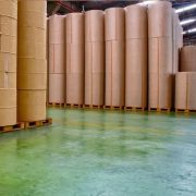 Industrial Functional Starches (Paper, Textile, Adhesive)