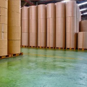 Industrial Functional Starches (Paper, Textile, Adhesive)