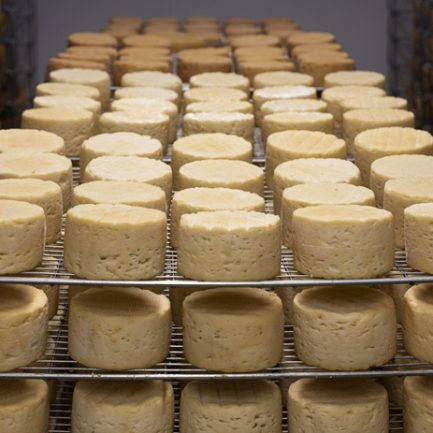 Glyceryl Monostearate 2 Glyceryl Monostearate 2