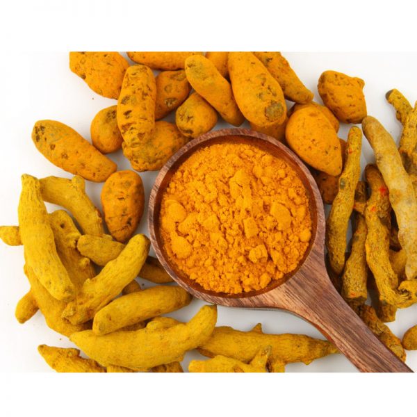 Turmeric Powders manufactuers in china
