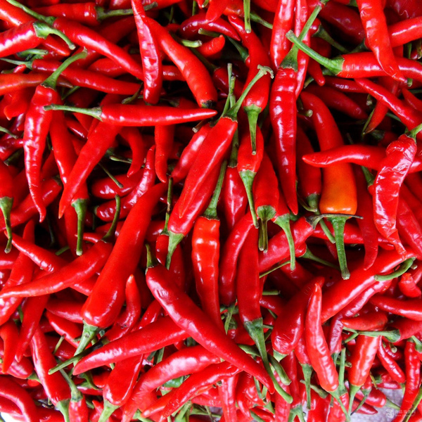 paprika oleoresin manufacturers