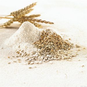 where to buy vital wheat gluten