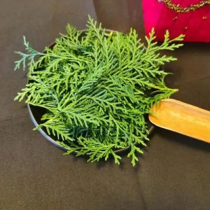 biota orientalis extract, thuja scalp care, herbal hair tonic, Chinese scalp treatment, natural dandruff solution