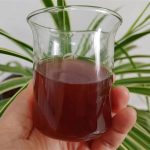danshen extract skincare, salvia miltiorrhiza skin, anti-aging TCM root, antioxidant herbal extract, circulation boosting skincare