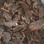 Figwort Root Extract (Xuanshen) 玄参_副本