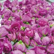 rose extract skincare, rosa rugosa petal, brightening flower extract, calming floral essence, antioxidant rose