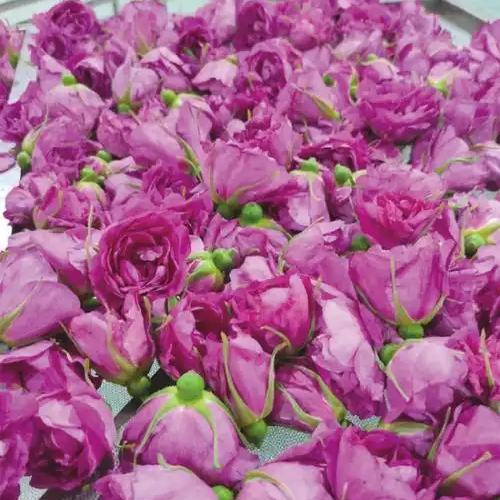 Rose Flower Extract 玫瑰花提取液_副本