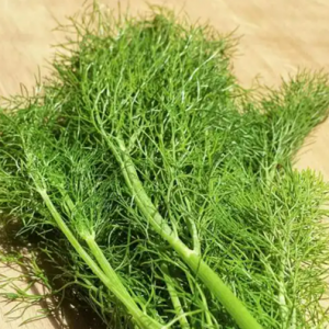 Star anise oil for cough syrup