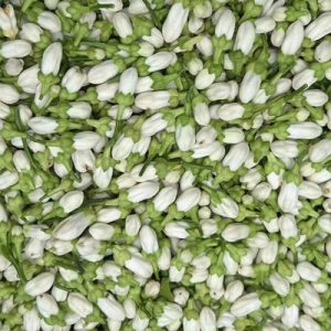 citrus aurantium flower oil