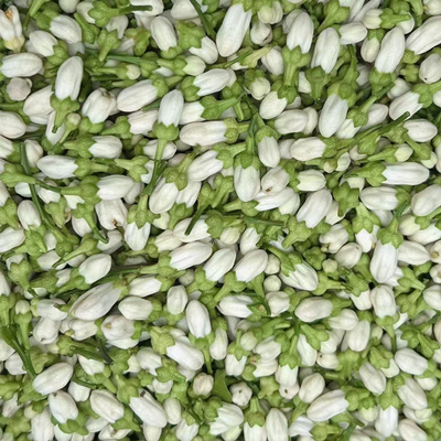 daidai flower essenital oil