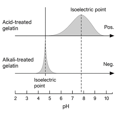 Acid-treated gelatin and alkali-treated gelatin