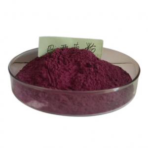 china acai berry extract manufacturers
