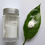 amorphous silica manufacturer