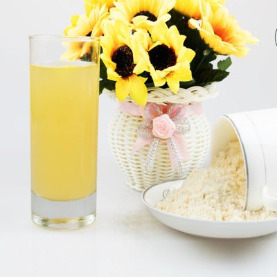 china pineapple fruit powder manufacturers​