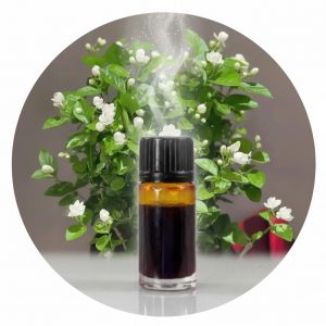 jasmine extract by co2 extraction