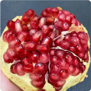 pomegranate seed extract
