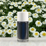 chrysanthemum extracts